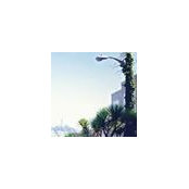 Misbah Uraizee's photo