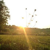 Lindsey Knott's photo