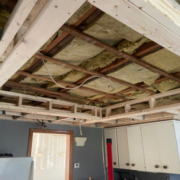 Ceiling Well and Wood Paneling