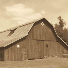 rustic beams