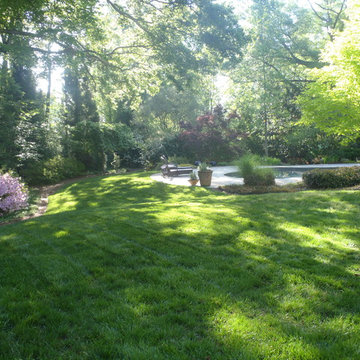 Fescue Backyard