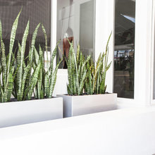 Landscape / Interior Planters