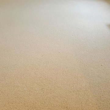 Beige Carpet to Stairs and Rooms