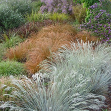 Beach House Garden