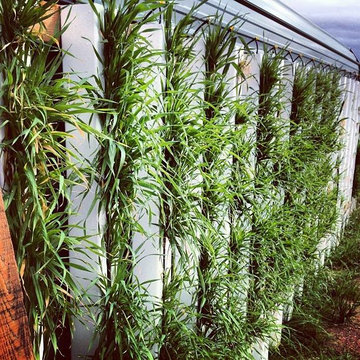 Zip Grow Towers