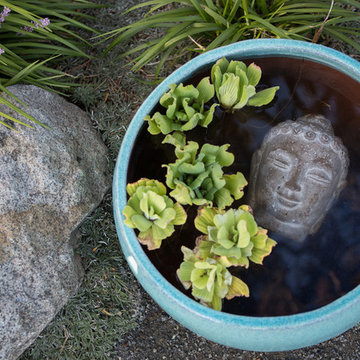 Modern Garden Design - La Jolla, CA