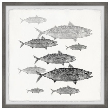 "Freshwater Fish" Framed Painting Print, 12"x12"