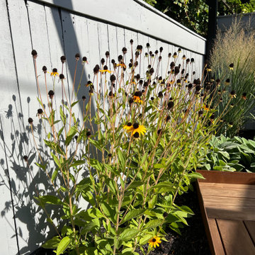 Sunset Park Family Garden
