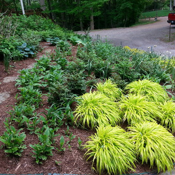 Duneside Shade Garden