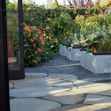 backyards