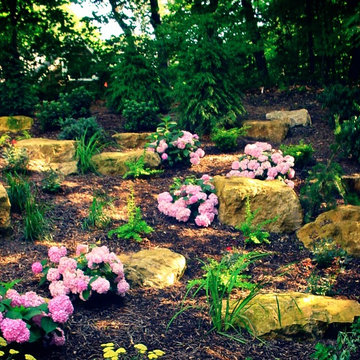 Backyard Landscapes