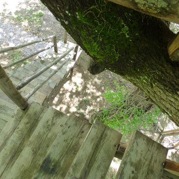 LA CASA SULL' ALBERO