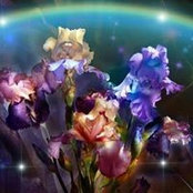 Darla Ebie's photo