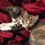Liz Deisher's photo