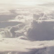 Sharon Grants foto