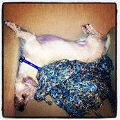 Lindsey Murray's photo