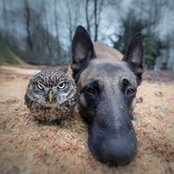 Carol Proulx's photo