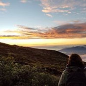 Amy Larrowe's photo