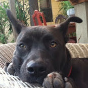 Stefanie Black's photo