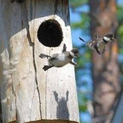 Sara Mohammed Hussein's photo