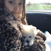 Marni Ollinger's photo