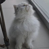 Tracy Webb-Collins's photo