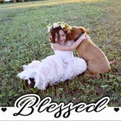 Brooke Forth's photo