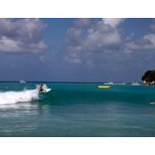 Chris Cotter's photo