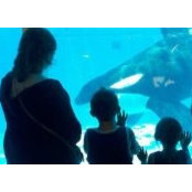 Araceli Diaz's photo