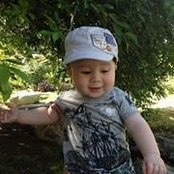 James Hunt's photo