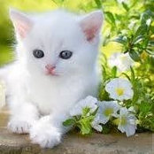 Kristi Johnson's photo