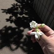 Maab Moaawiah's photo