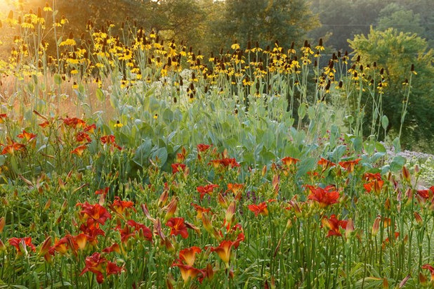 Классический Сад by Adam Woodruff LLC