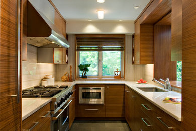 Kitchen - contemporary kitchen idea in New York