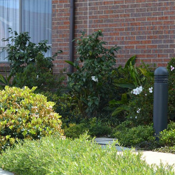Forster Residential