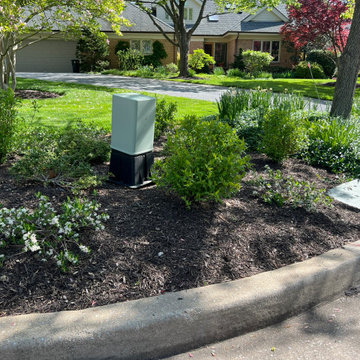 Native Plant Transformation of a HOA restricted landscape