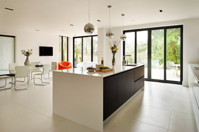 This is an example of a contemporary kitchen in Essex.