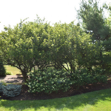 Winfield Landscape Gardens Project
