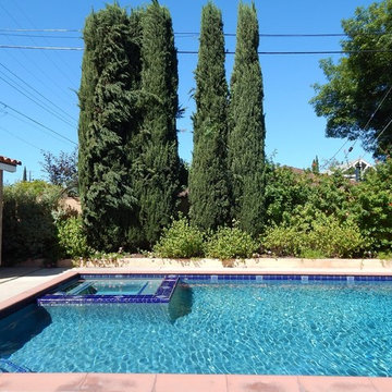 Lush Drought Tolerant Garden