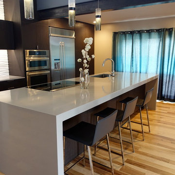 Baca + Moya entire home remodel and addition.