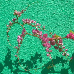 Photo Catalog - Abstract samples - Products