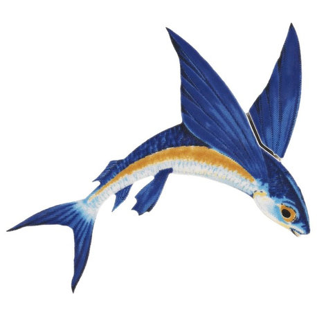 Flying Fish A Porcelain Swimming Pool Mosaic