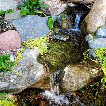 Backyard Tranquility