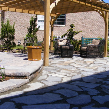 New Home, Backyard from scratch
