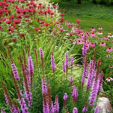 Spring plantings