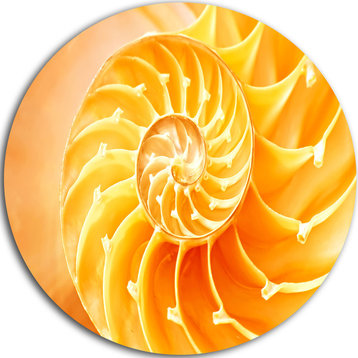 Yellow Nautilus Shell, Abstract Art Disc Metal Wall Art, 11"