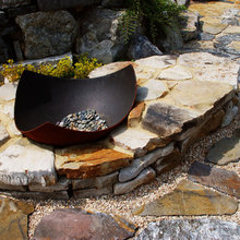 Back Yard Ideas