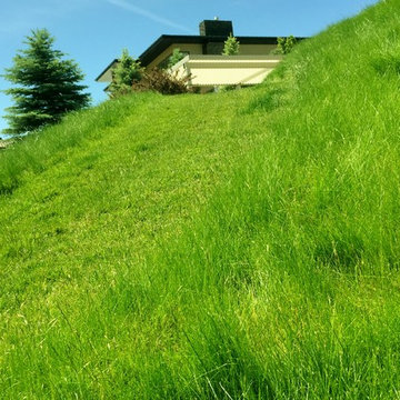 Sommerset Ridge III
