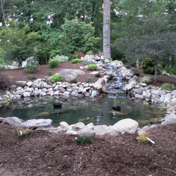 Water Features