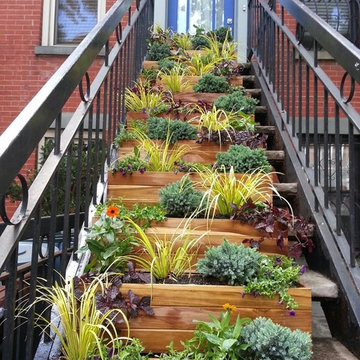 Stoop Garden